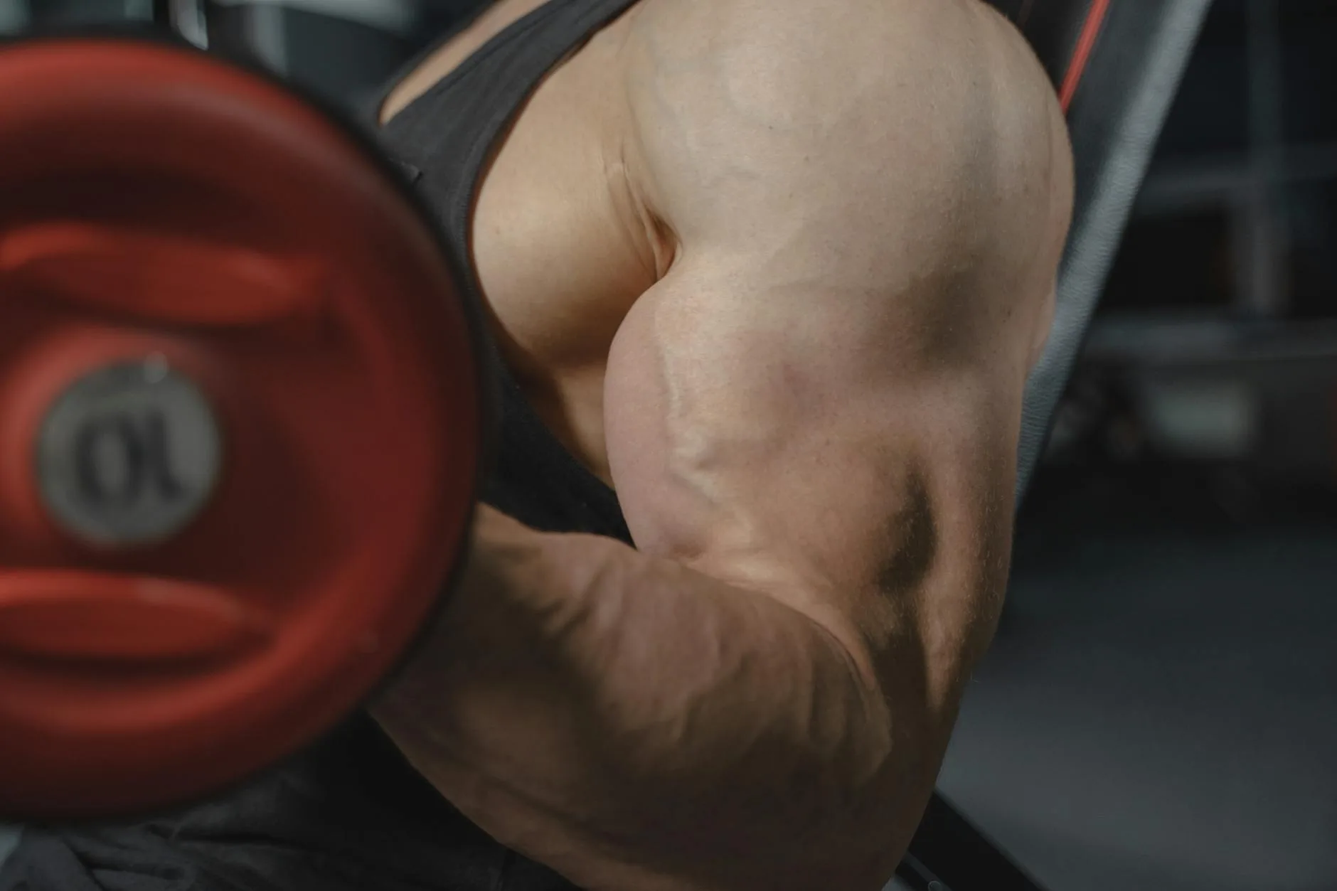 Person performing a bicep curl with a dumbbell in a gym