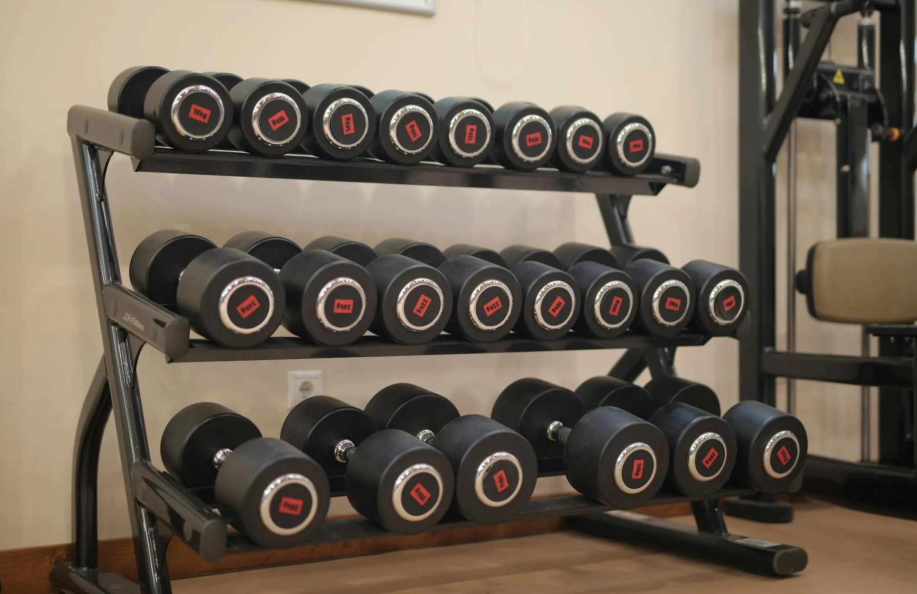 Row of dumbbells on a rack in a gym
