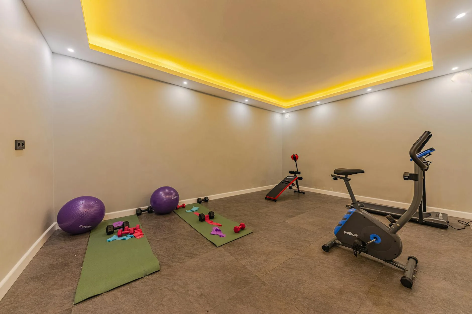 Clean home gym setup with exercise equipment